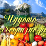 ГЛАДУВАНЕ за ЛЕЧЕНИЕ и ДУХОВНО РАЗВИТИЕ ЧУДОТО НА ГЛАДУВАНЕТО
