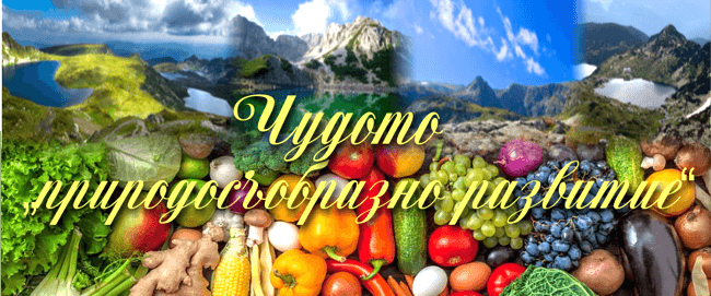 ЧУДОТО НА ГЛАДУВАНЕТО