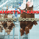 Христос Воскресе! Кой е Исус Христос?