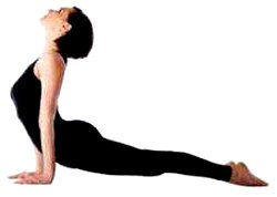 Bhujangasana1.JPG