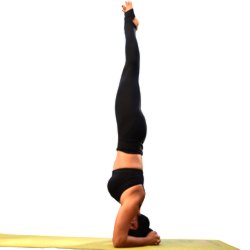 Shirshasana.jpg